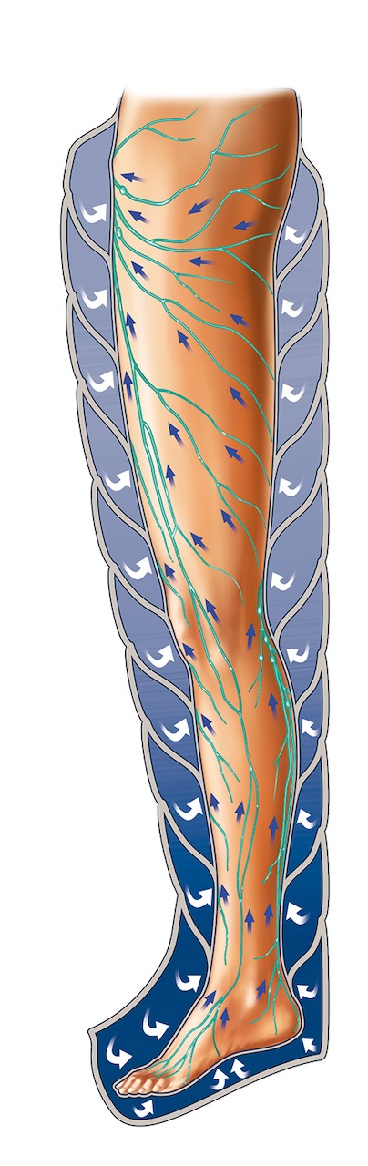 Drenaż Limfatyczny - schemat działania.